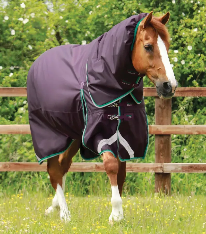Premier Equine Buster 200g Turnout Rug With Snug-Fit Neck Cover in Purple