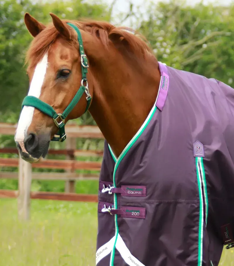 Premier Equine Buster 200g Turnout Rug With Snug-Fit Neck Cover in Purple-1