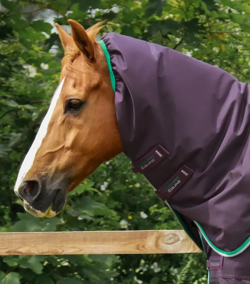 Premier Equine Buster 200g Turnout Rug With Snug-Fit Neck Cover in Purple-2