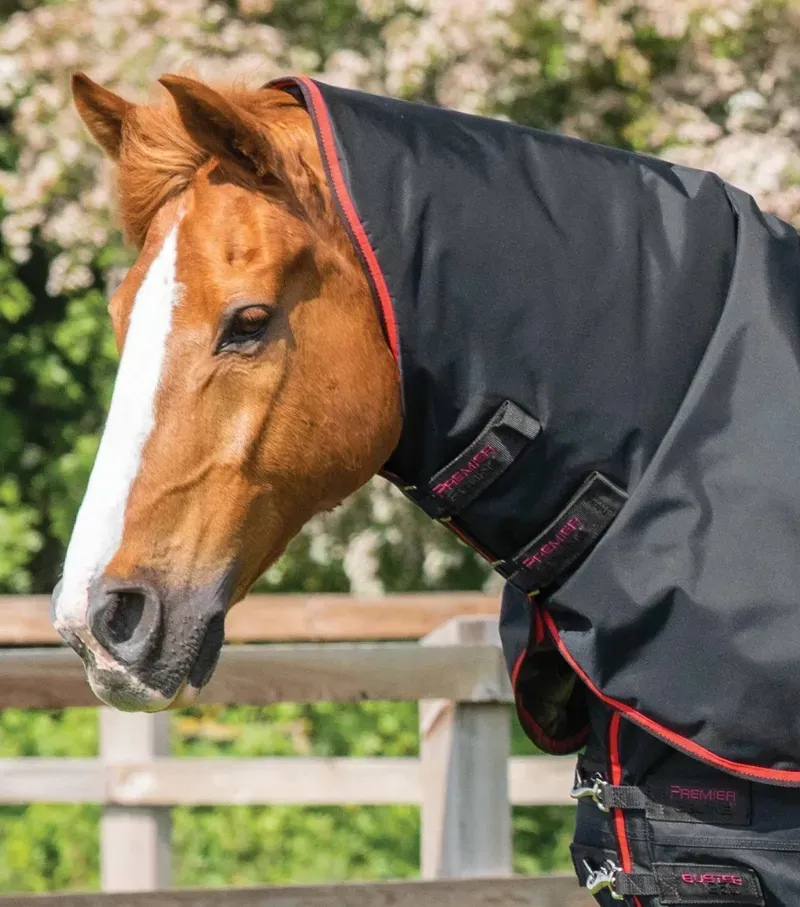 Premier Equine Buster 250g Turnout Rug With Classic Neck Cover in Black-2
