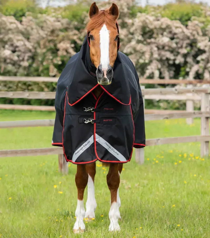 Premier Equine Buster 250g Turnout Rug With Classic Neck Cover in Black-1