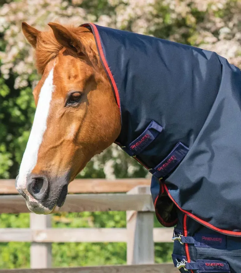 Premier Equine Buster 250g Turnout Rug With Classic Neck Cover in Navy-1