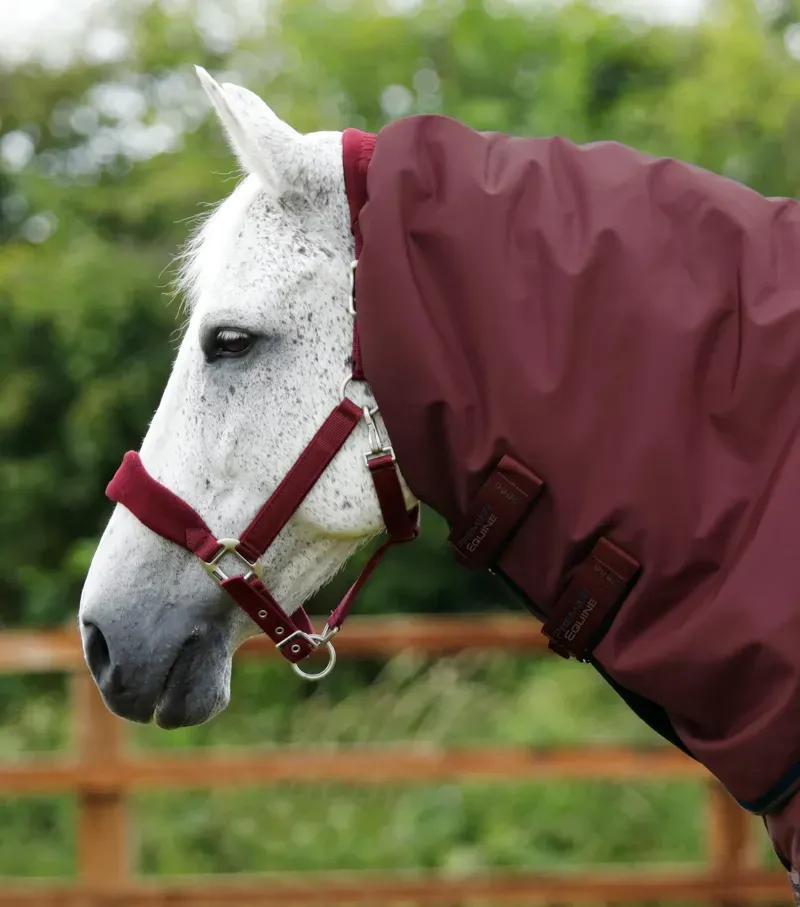 Premier Equine Buster 400g Turnout Rug With Snug-Fit Neck Cover in Burgundy-2