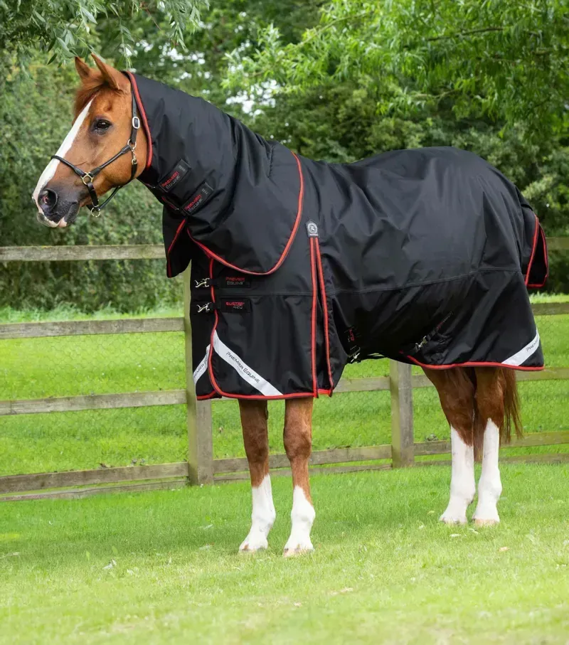 Premier Equine Buster 420g Turnout Rug With Classic Neck Cover in Black