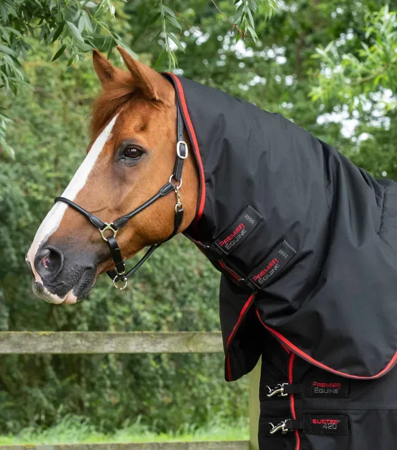 Premier Equine Buster 420g Turnout Rug With Classic Neck Cover in Black-1