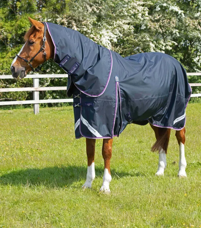 Premier Equine Buster 70g Turnout Rug With Classic Neck Cover in Navy