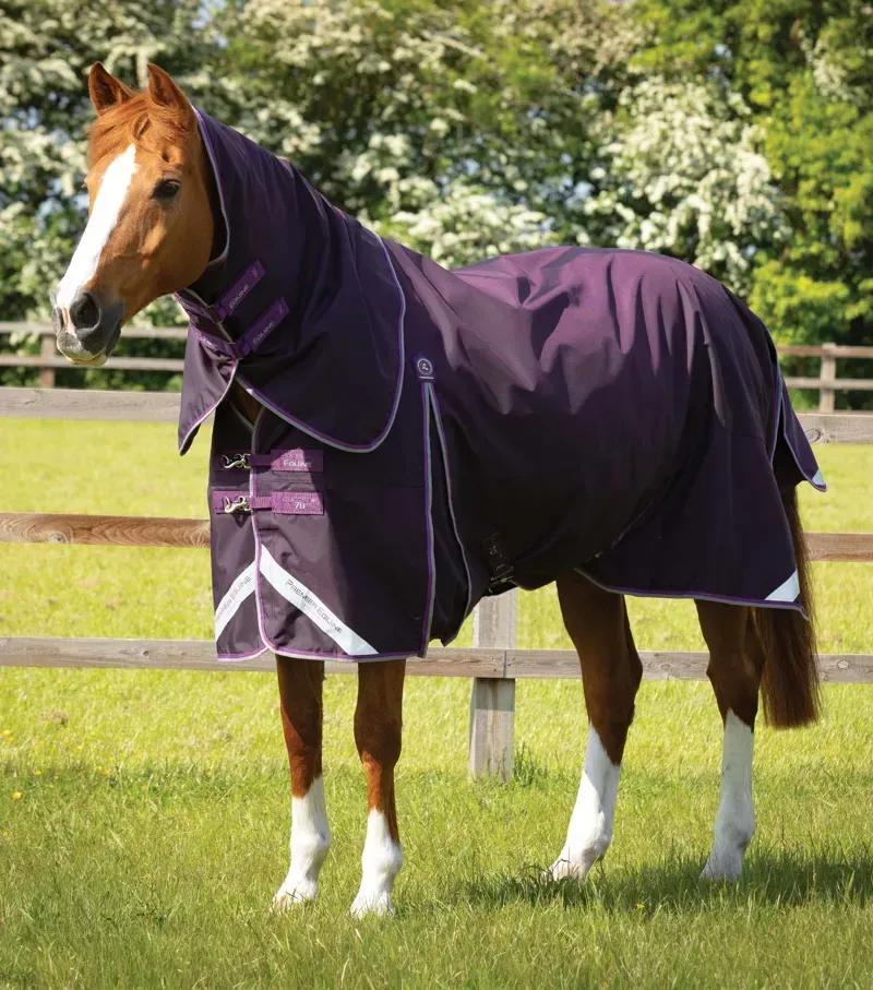 Premier Equine Buster 70g Turnout Rug With Classic Neck Cover in Purple