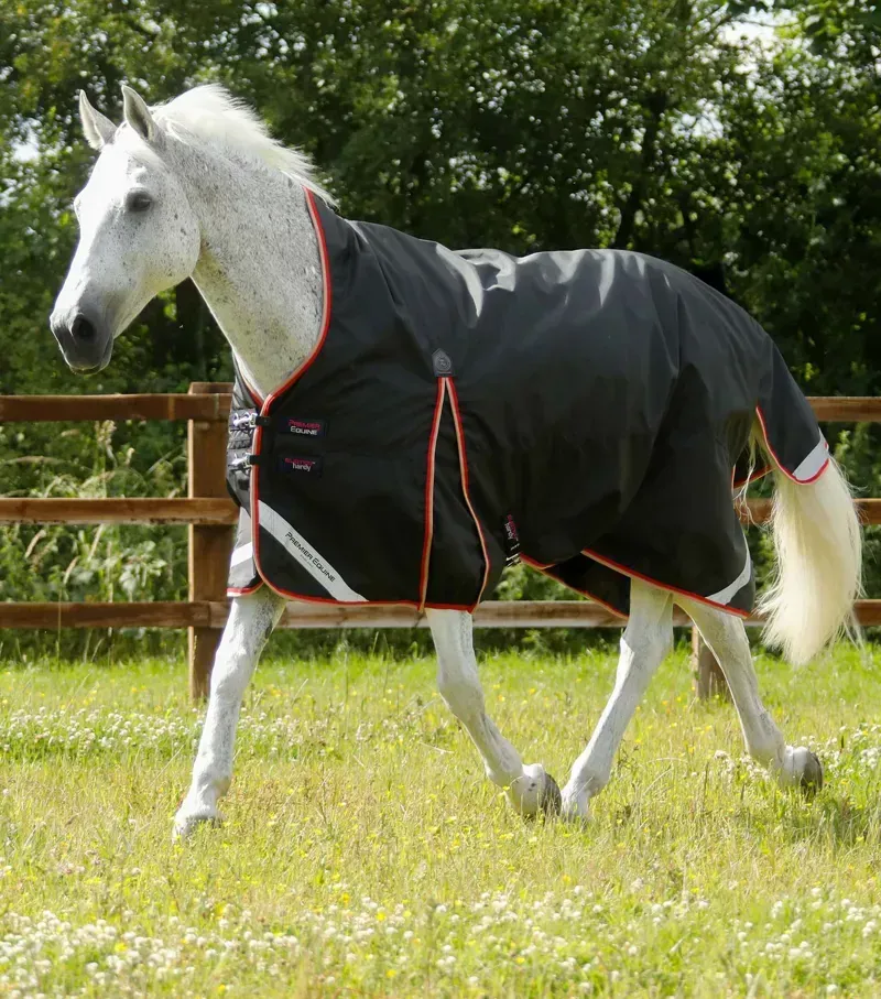 Premier Equine Buster Hardy 100g Half Neck Turnout Rug in Black