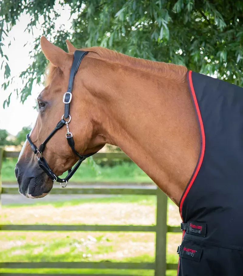 Premier Equine Buster Hardy 400g Half Neck Turnout Rug in Black-1