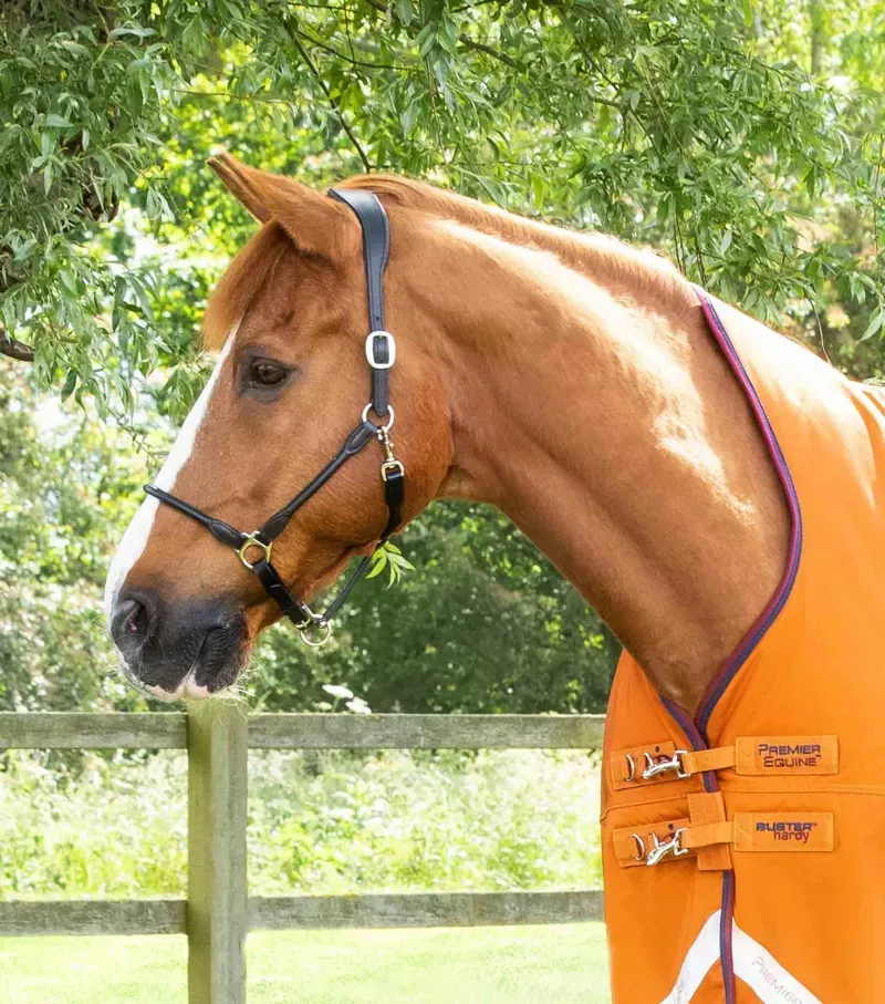 Premier Equine Buster Hardy 200g Half Neck Turnout Rug in Burnt Orange-1
