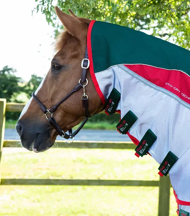 Premier Equine Buster Stay-Dry Super Lite Fly Rug With Surcingles in Green-1
