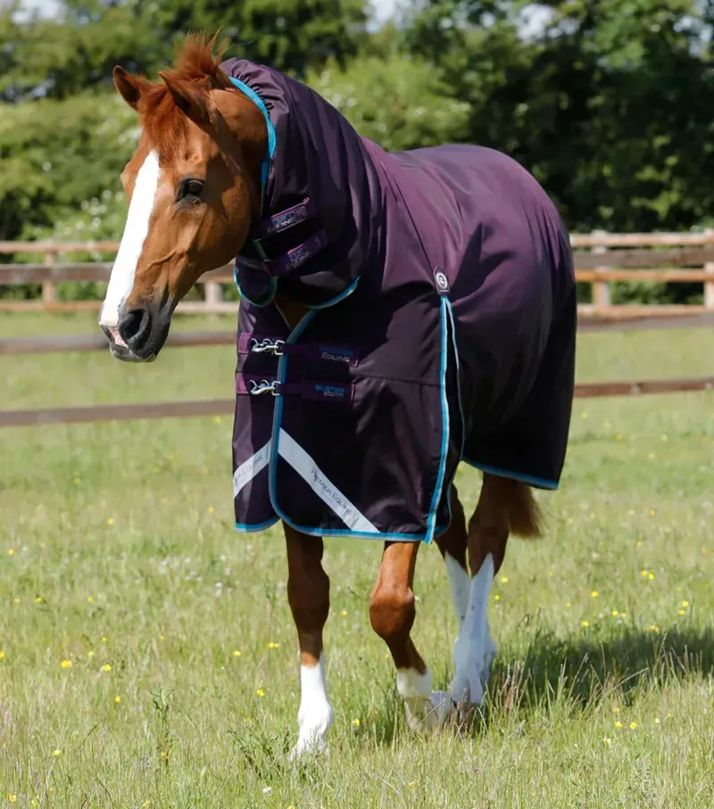 Premier Equine Buster Storm 100g Combo Turnout Rug With Snug-Fit Neck in Purple