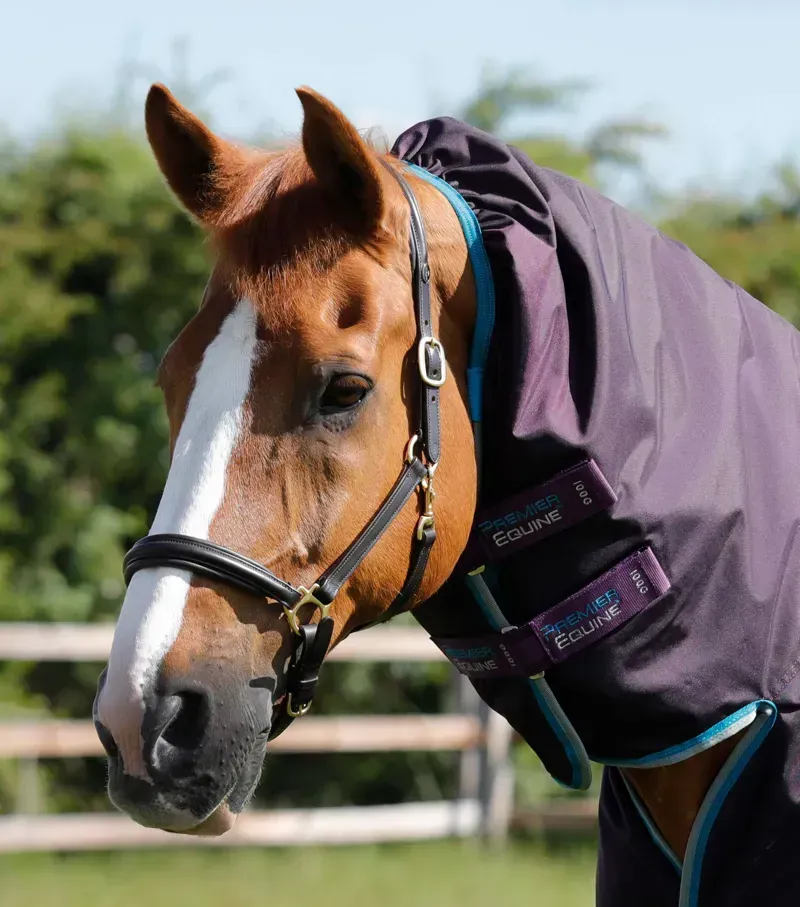 Premier Equine Buster Storm 100g Combo Turnout Rug With Snug-Fit Neck in Purple-1