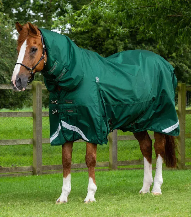 Premier Equine Buster Storm 220g Combo Turnout Rug With Classic Neck in Green