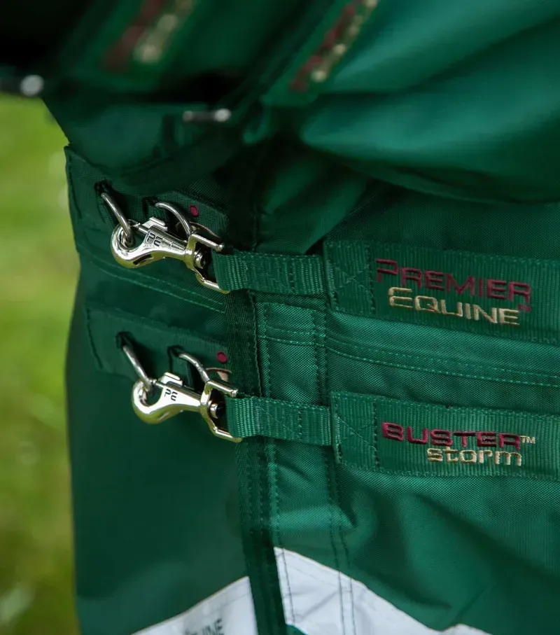 Premier Equine Buster Storm 220g Combo Turnout Rug With Classic Neck in Green-1