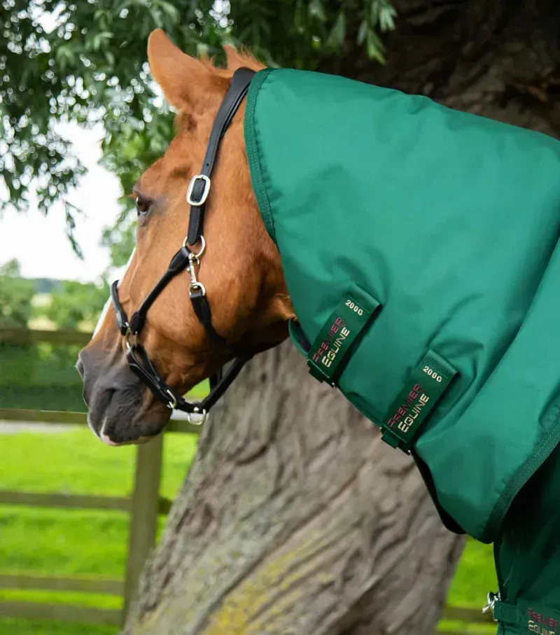 Premier Equine Buster Storm 220g Combo Turnout Rug With Classic Neck in Green-3
