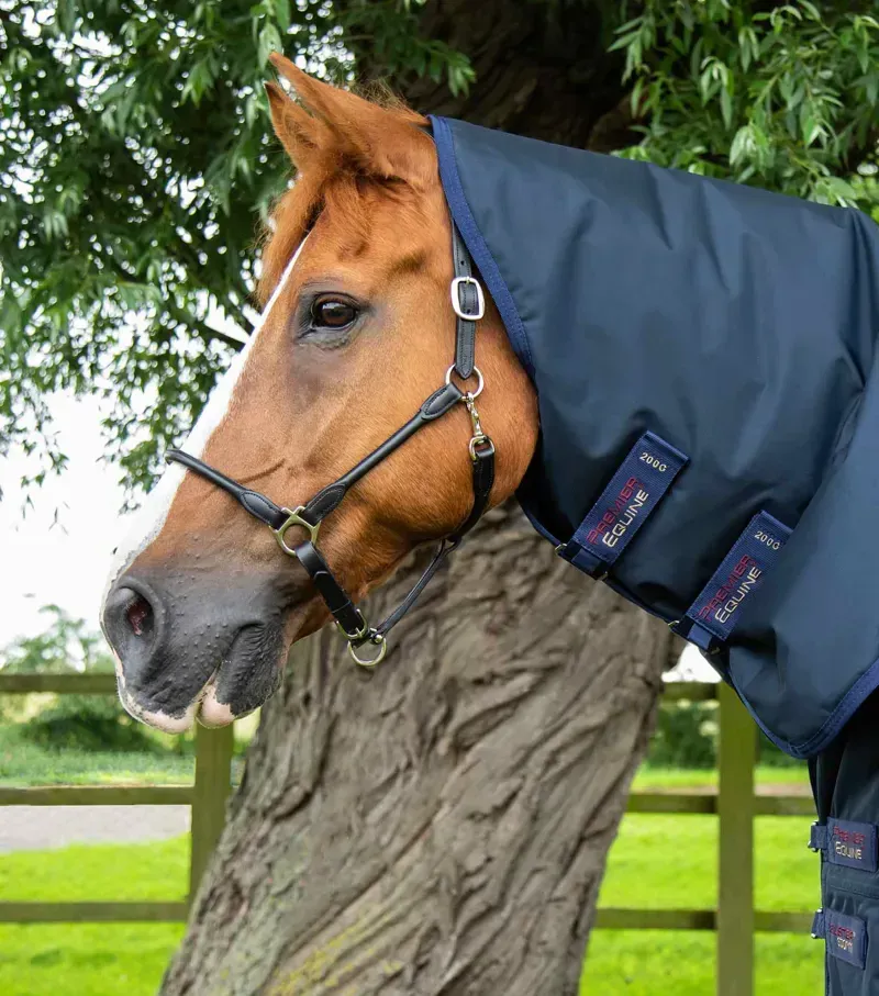 Premier Equine Buster Storm 220g Combo Turnout Rug With Classic Neck in Navy-1