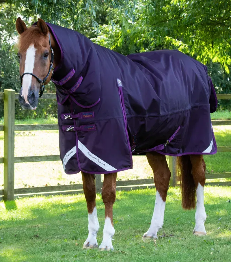 Premier Equine Buster Storm 420g Combo Turnout Rug With Classic Neck in Purple
