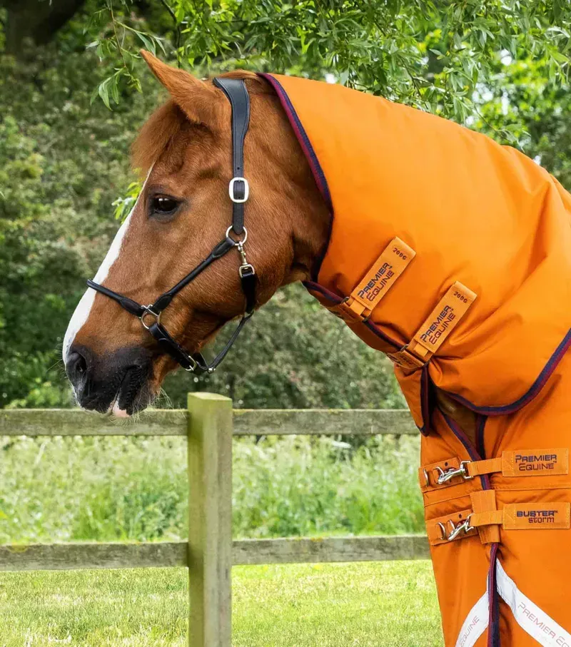 Premier Equine Buster Storm 200g Combo Turnout Rug With Classic Neck in Burnt Orange-1