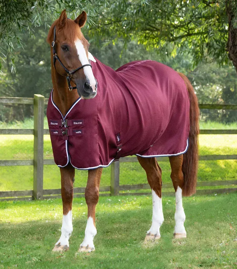 Premier Equine Buster Waffle Horse Cooler Rug in Burgundy