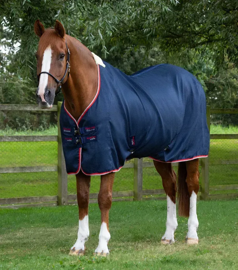 Premier Equine Buster Waffle Horse Cooler Rug in Navy