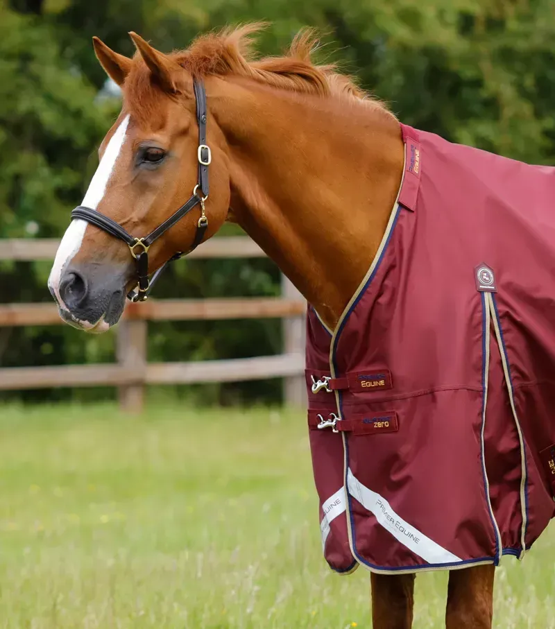 Premier Equine Buster Zero Turnout Rug With Classic Neck Cover in Burgundy-1