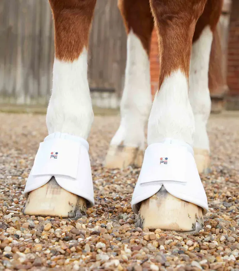 Premier Equine Carbon Wrap Over Reach Boots in White-3