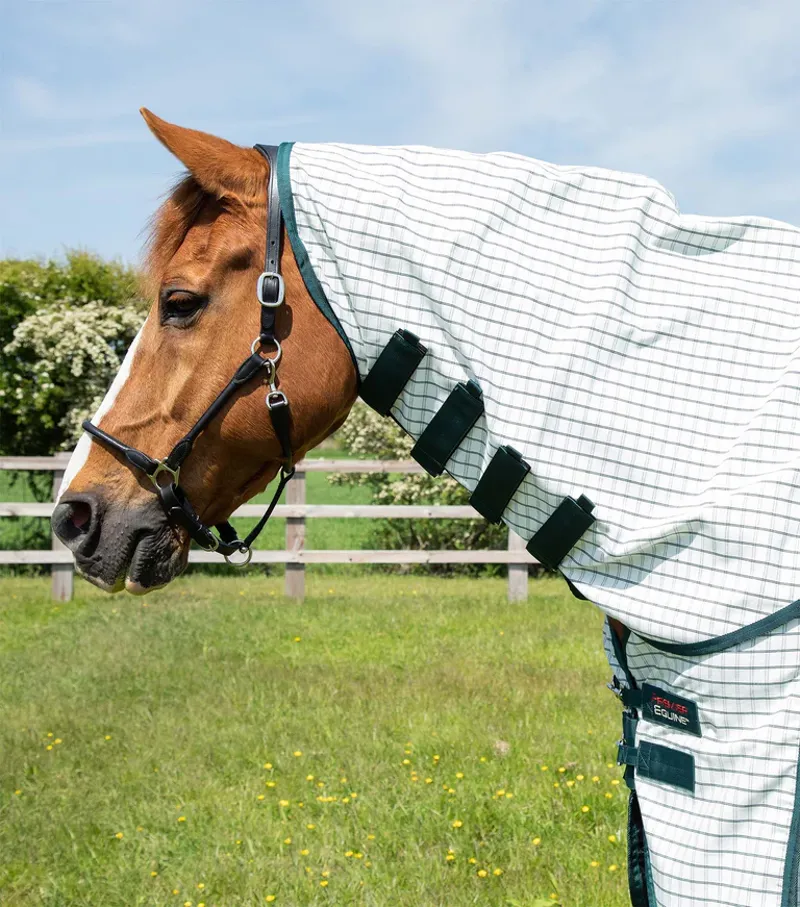 Premier Equine Combo Cotton Sheet Green Check-2