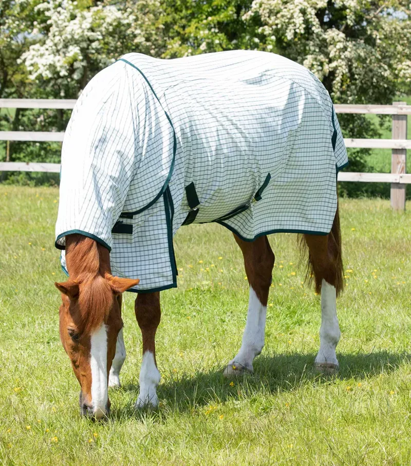 Premier Equine Combo Cotton Sheet Green Check-1
