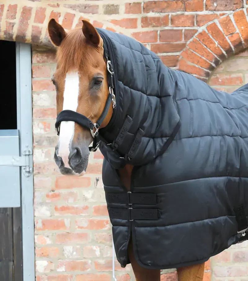 Premier Equine Combo Horse Rug Liner in Black 200g-1