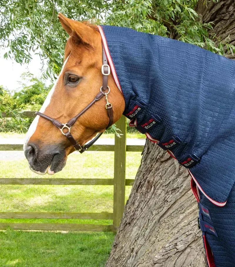 Premier Equine Combo Dry-Tech Horse Cooler Rug in Navy-1