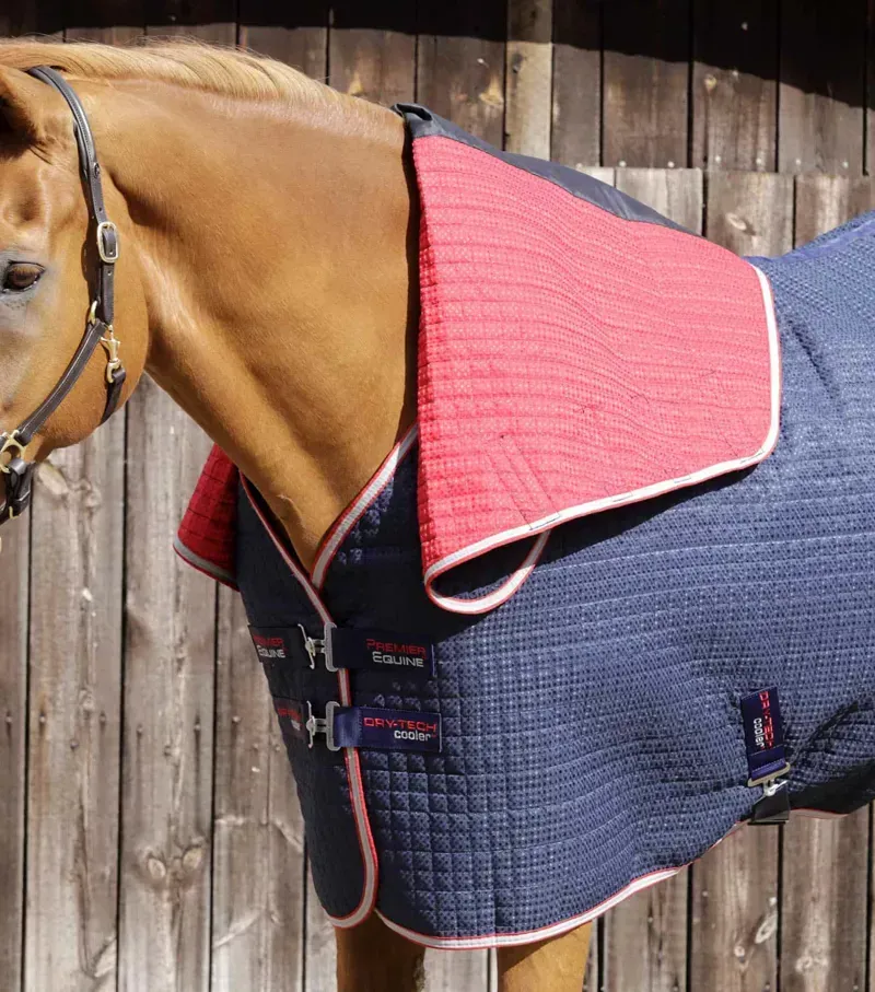 Premier Equine Combo Dry-Tech Horse Cooler Rug in Navy-3