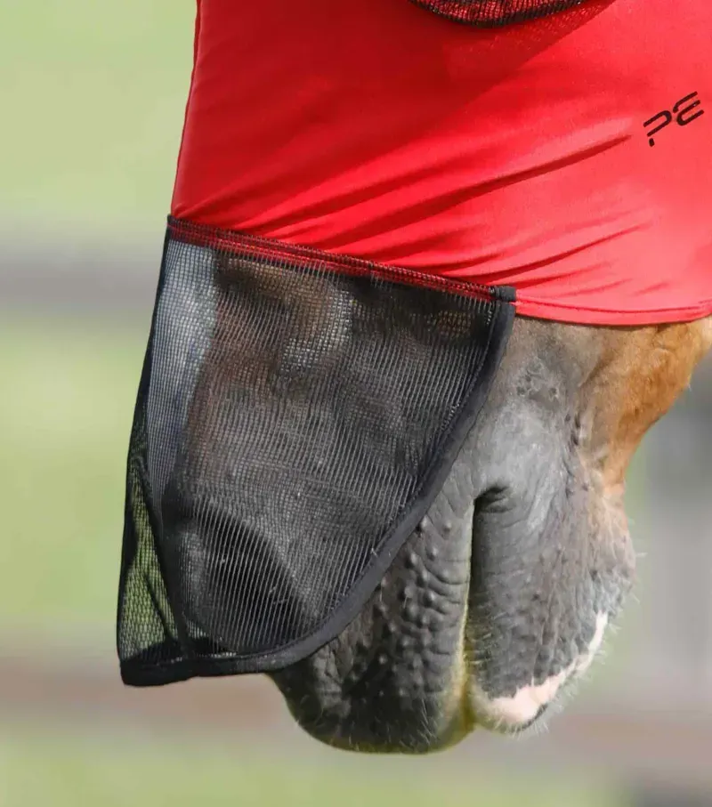 Premier Equine Medium Comfort Tech Lycra Fly Mask Xtra in Red-2