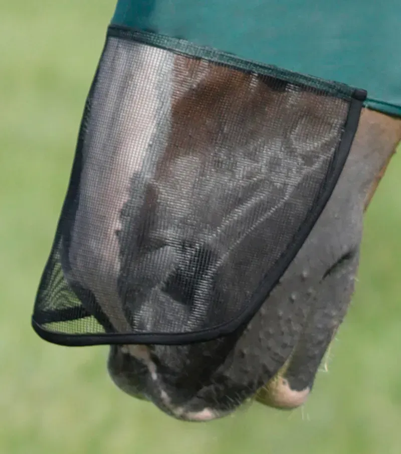 Premier Equine Comfort Tech Lycra Fly Mask Xtra in Green-3