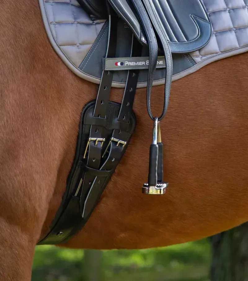 Premier Equine Davoli Leather Girth in Black-1