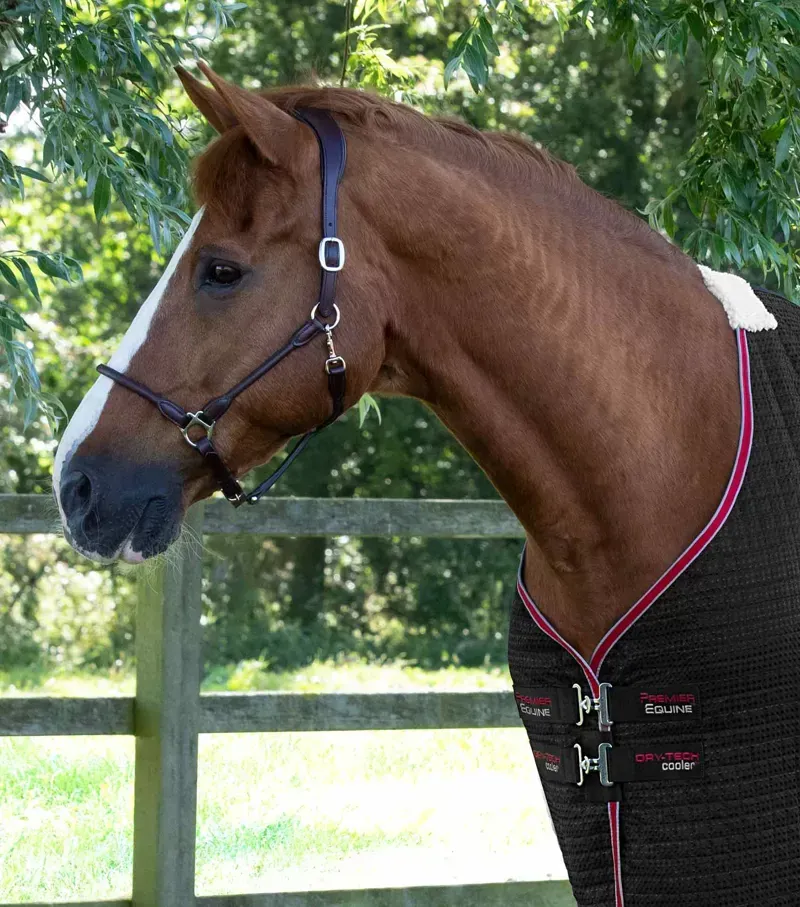 Premier Equine 6'0 Dry-Tech Horse Cooler Rug in Black-1