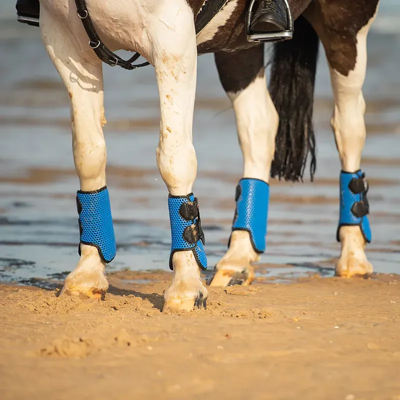 Equilibrium Tri-Zone All Sports Boots - ROYAL-1