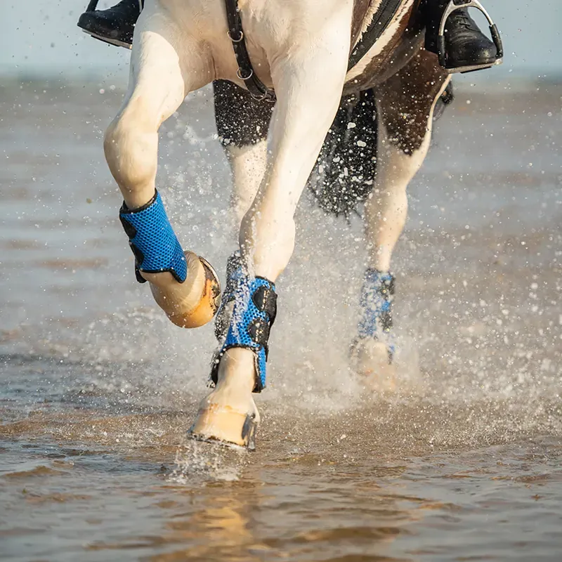 Equilibrium Tri-Zone All Sports Boots - ROYAL-4