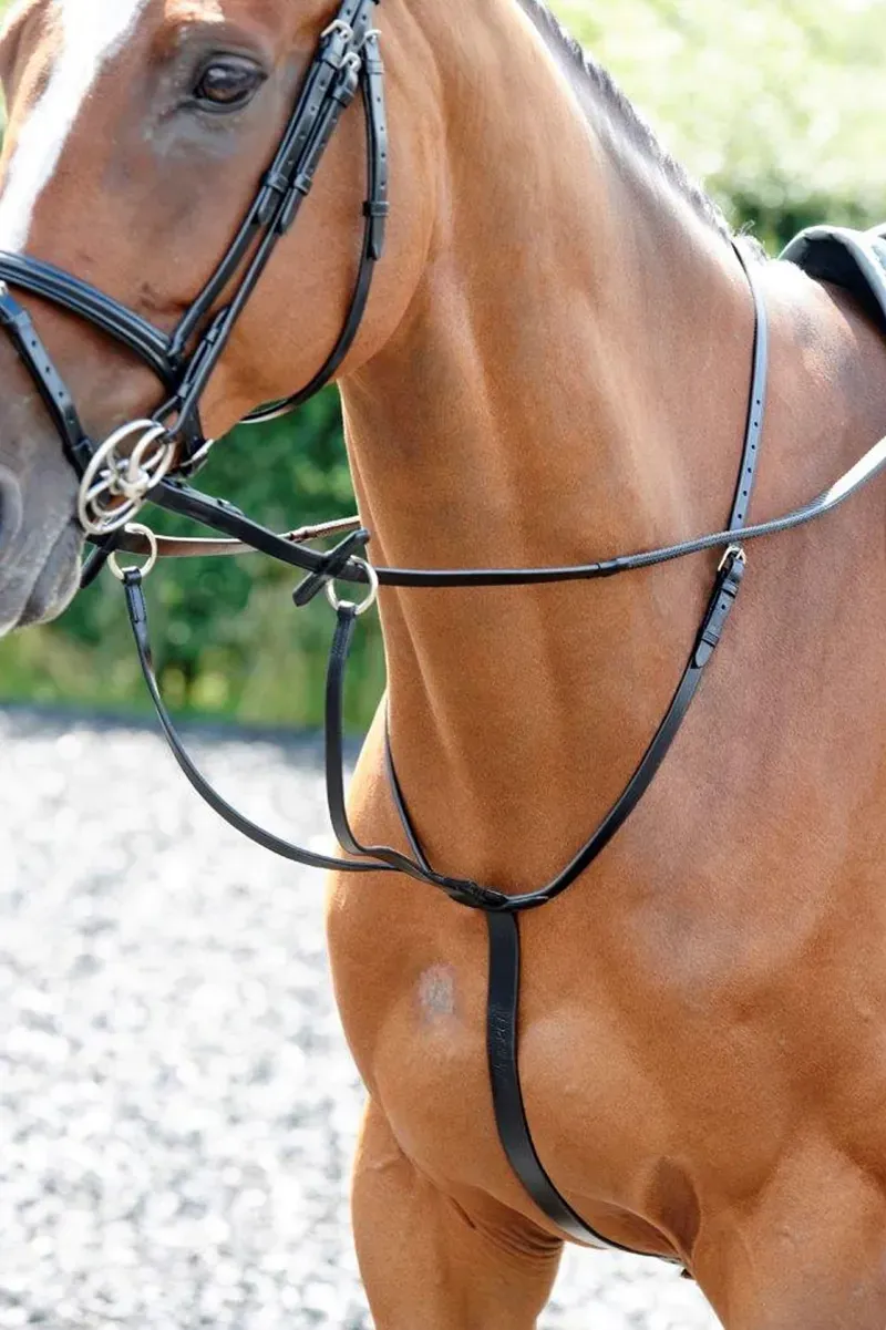 Whitaker Barton Martingale in Black