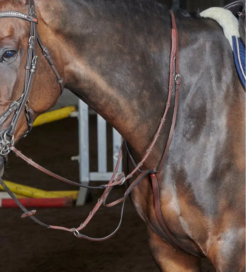 Whitaker Barton Martingale in Brown