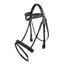 Whitaker Lynton Flash Bridle with Spare Browband in Black