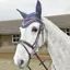 Whitaker Lynton Flash Bridle with Spare Browband in Brown