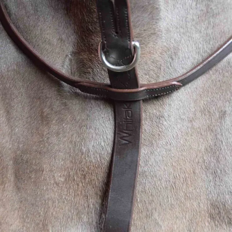 Whitaker MA054 Ready To Ride Martingale - HAVANA