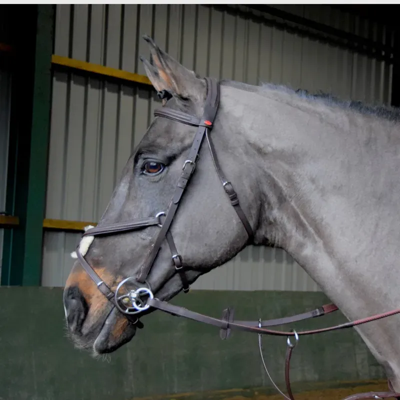 Whitaker Ready To Ride Mexican Bridle - BLACK