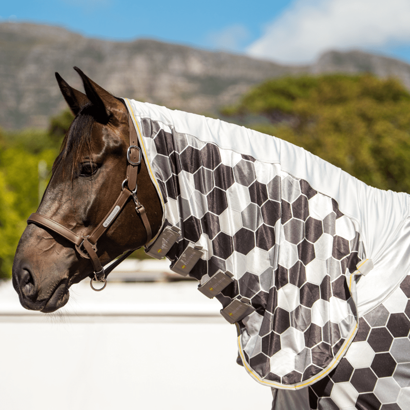 Equilibrium Field Relief Fly Rug in Grey-1
