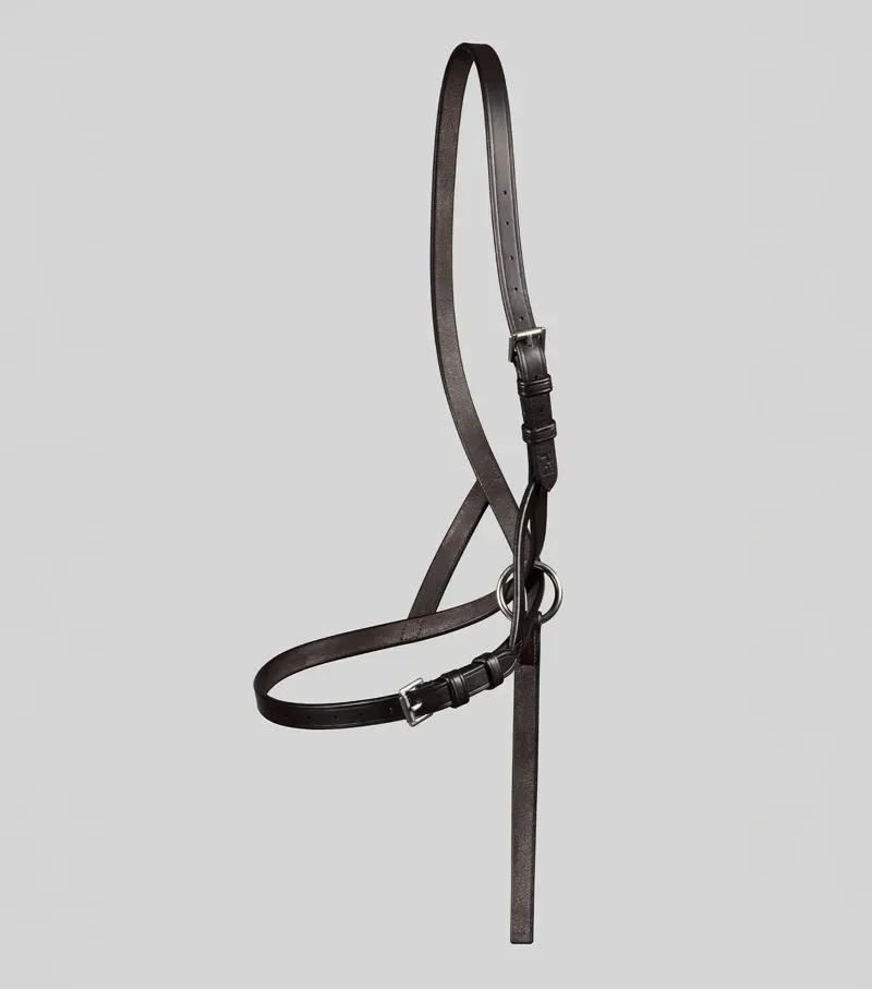 Premier Equine Int. Standard Foal Slip 5/8 inch in Dark Havana-1