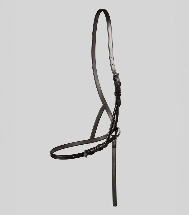 Premier Equine Int. Foal Slip 0.5 inch in Dark Havana-1