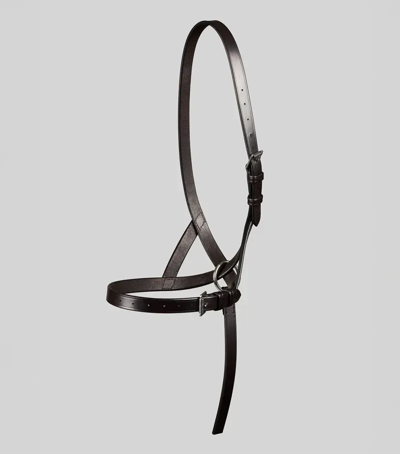 Premier Equine Int. Standard Foal Slip 3/4 inch in Dark Havana