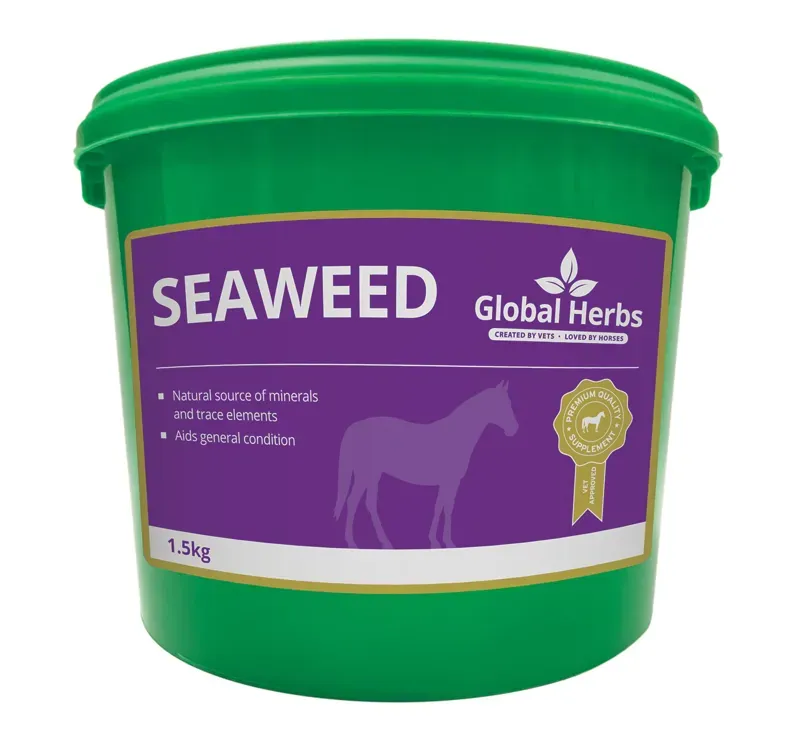 Global Herbs 1.5kg Seaweed in Green