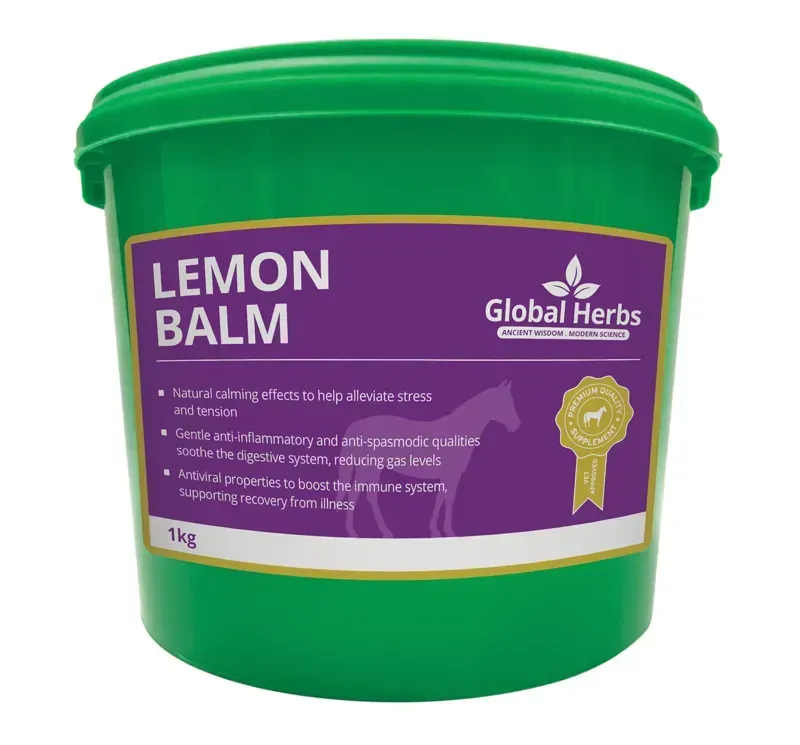 Global Herbs 1kg Lemon Balm in Green